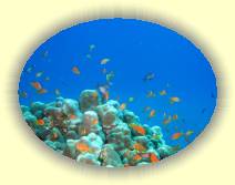 IMG_2007_05_29 14_04_01 * 3072 x 2304 * (587KB)